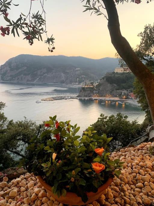 Historic Downtown Home By The Sea With King Bed Monterosso al Mare Luaran gambar